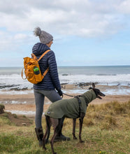 Load image into Gallery viewer, Greyhound Recycled Backpack - Mustard
