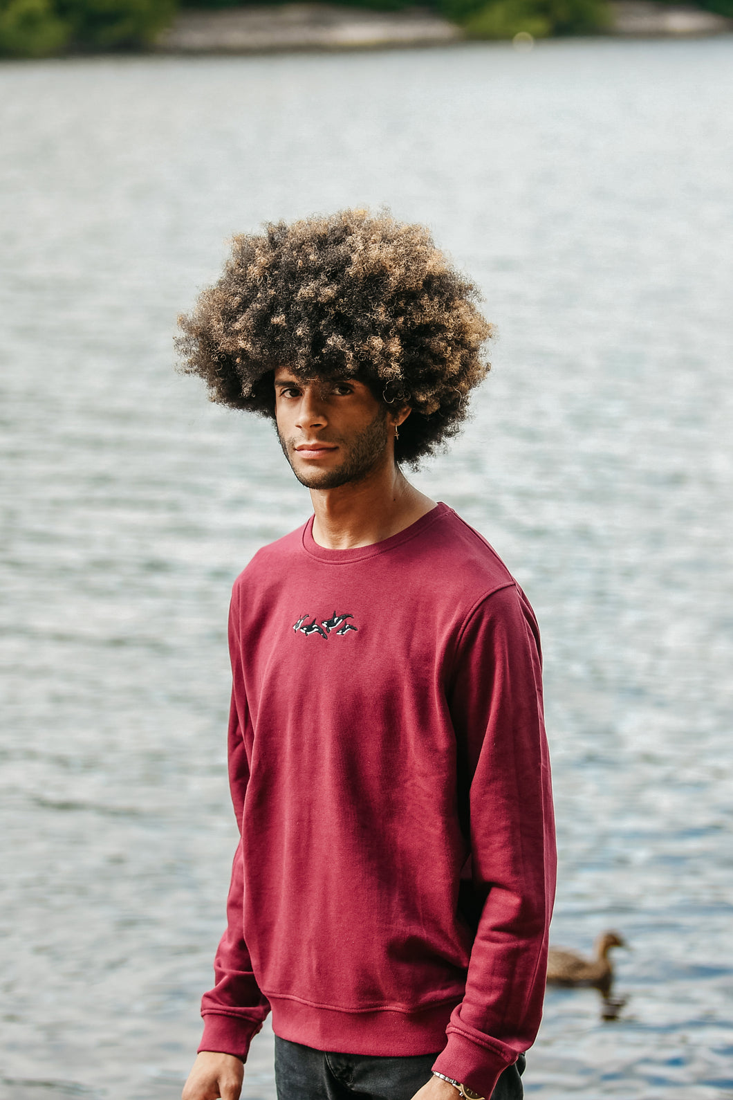 Men's Orca Pod Sweatshirt - Burgundy